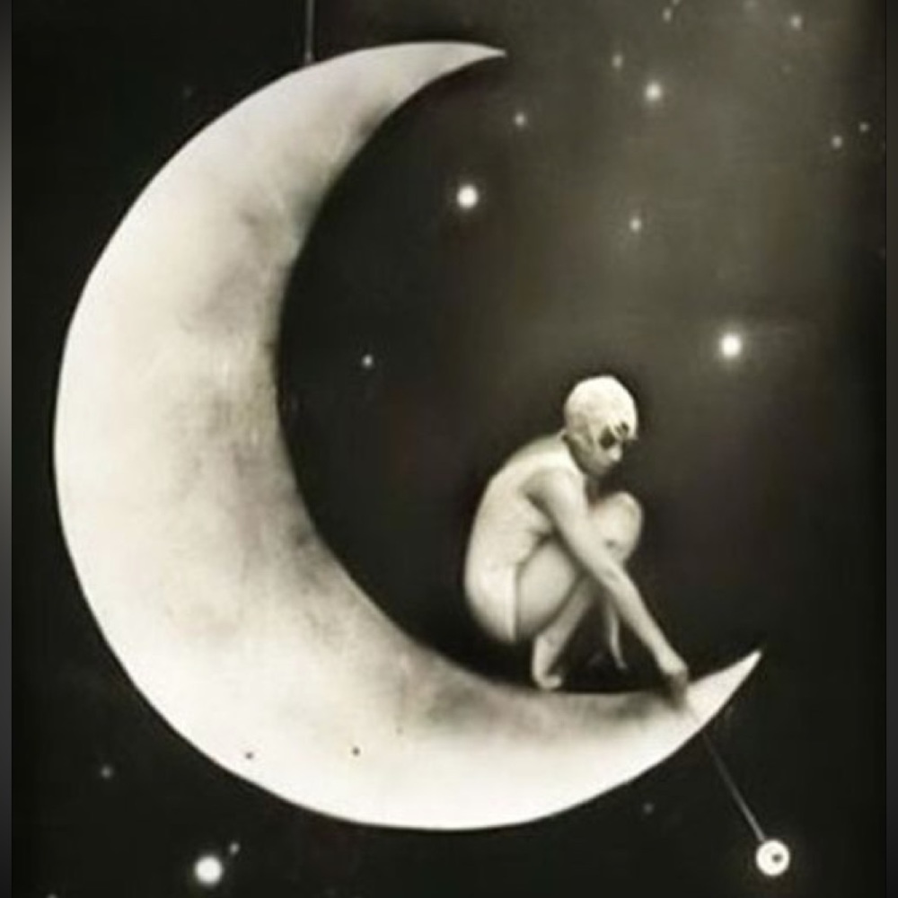 Meet your Posher, Harley